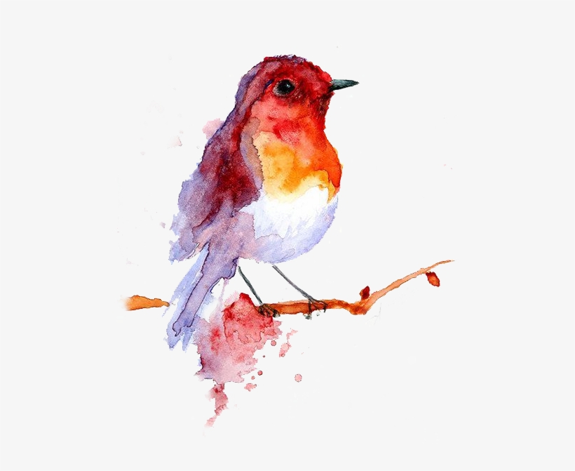 A Single Image Could Have Been Used - Painting Watercolor Bird, transparent png