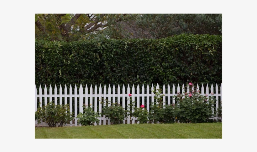 The Picket Fence Has Come To Represent The Suburbs - Picket Fence, transparent png