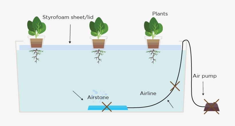 Deep Water Culture Without Pump - Octopus, transparent png