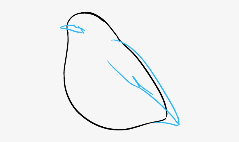 How To Draw Robin - Sketch, transparent png