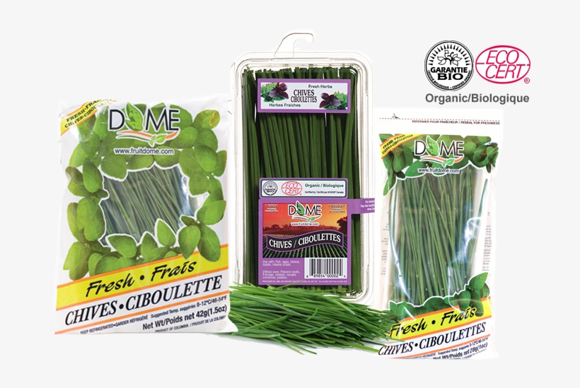 Eco Cert, transparent png