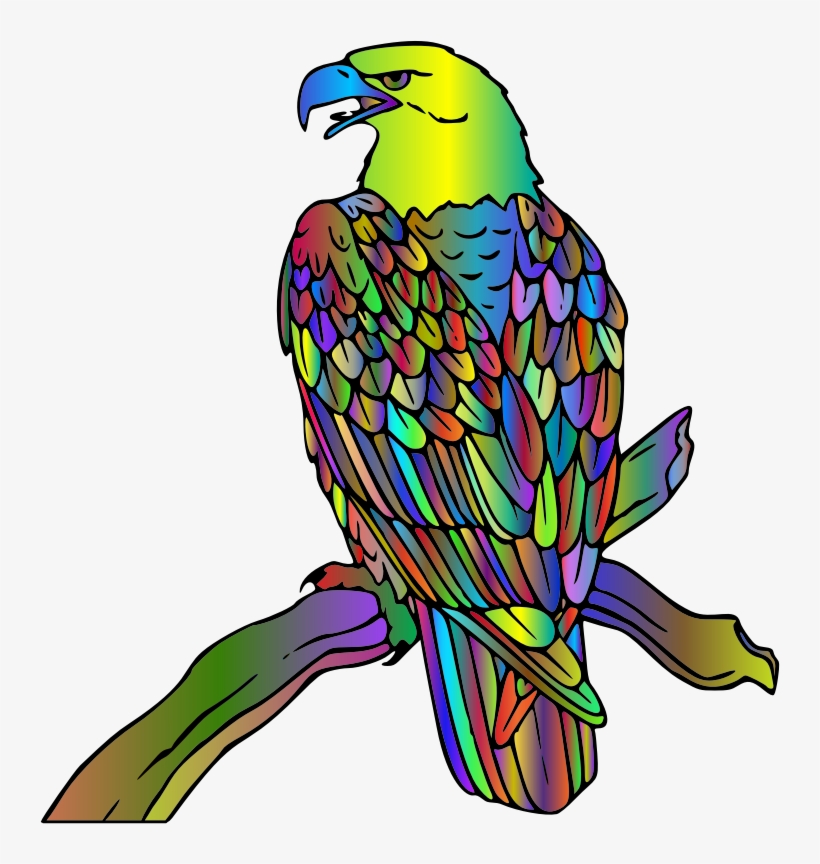 Bald Eagle Polyprismatic - Macaw, transparent png