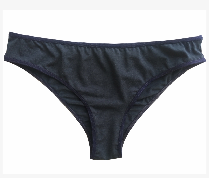 Julie Regular Panty Pantie In Grey-blue For Female - Underpants, transparent png