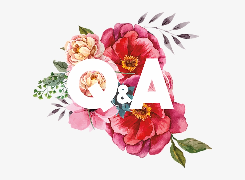 Her Career Began 15 Years Ago, While Attending University - Common Peony, transparent png