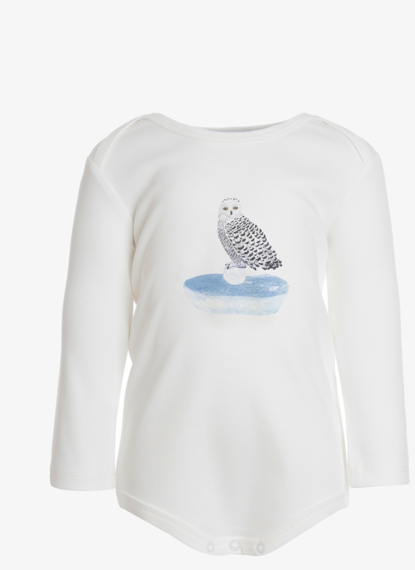 Ls Owl Body - Snowy Owl, transparent png