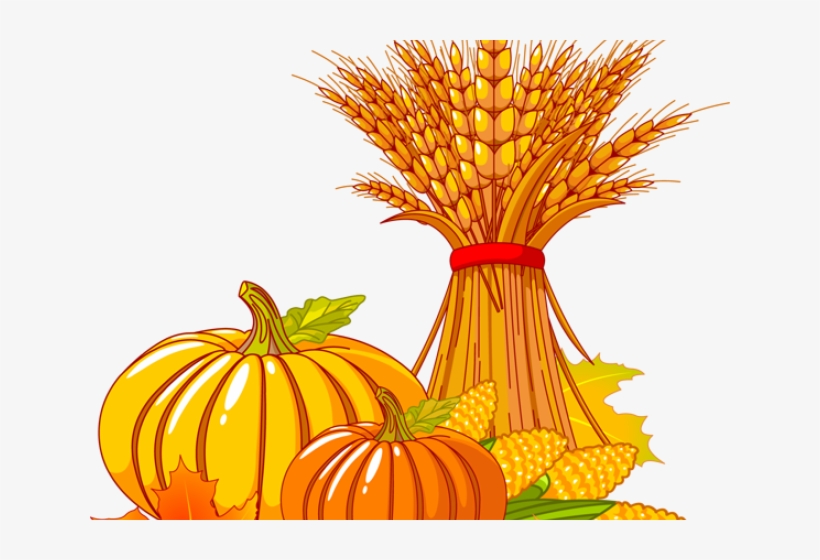 Original - Fall Corn Stalk Clipart, transparent png