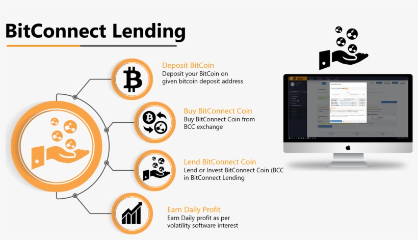 Daniel C Shared - Bitcoin Lending, transparent png