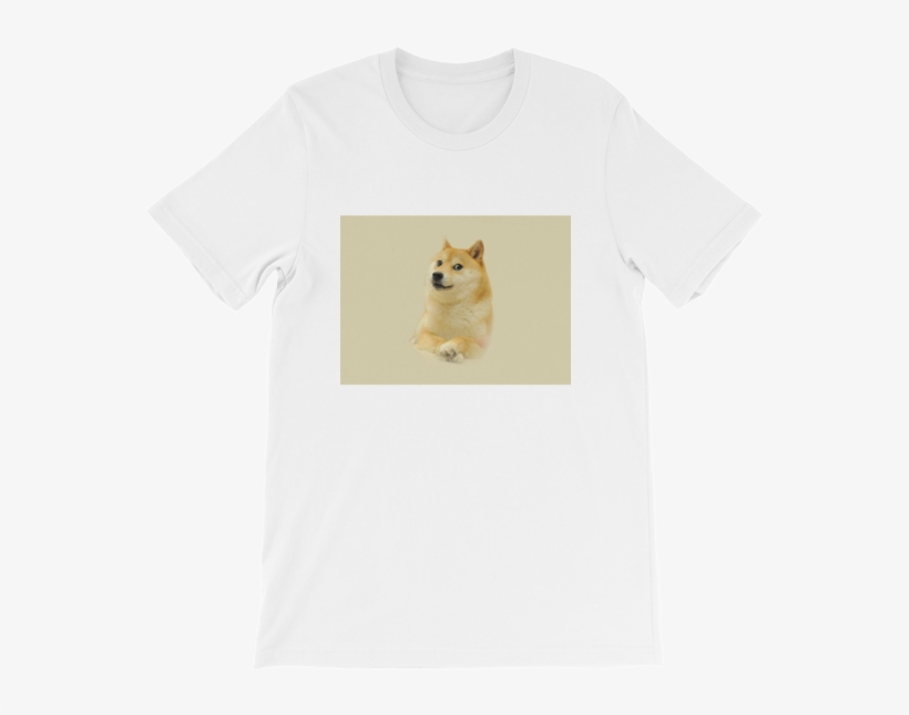 Shiba Inu, transparent png