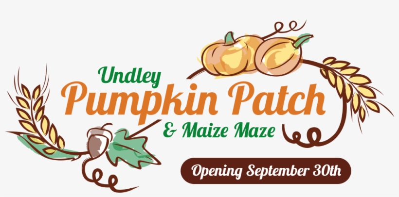 For Full Details On This Great Place For Picking Pumpkins - Actiepagina, transparent png
