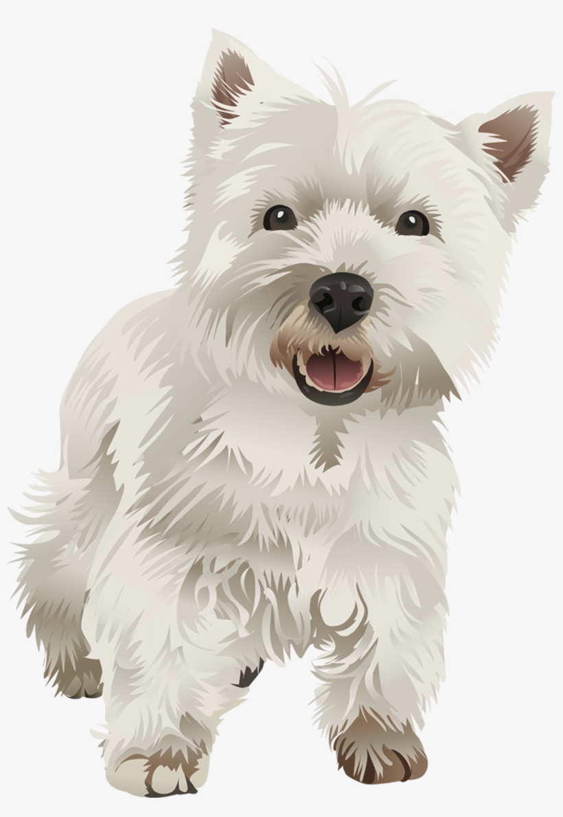 West Highland White Terrier Vector Png, transparent png