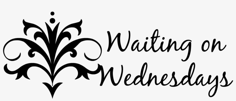 Waiting On Wednesday Is A Weekly Meme Hosted By Jill - Waiting Game, transparent png