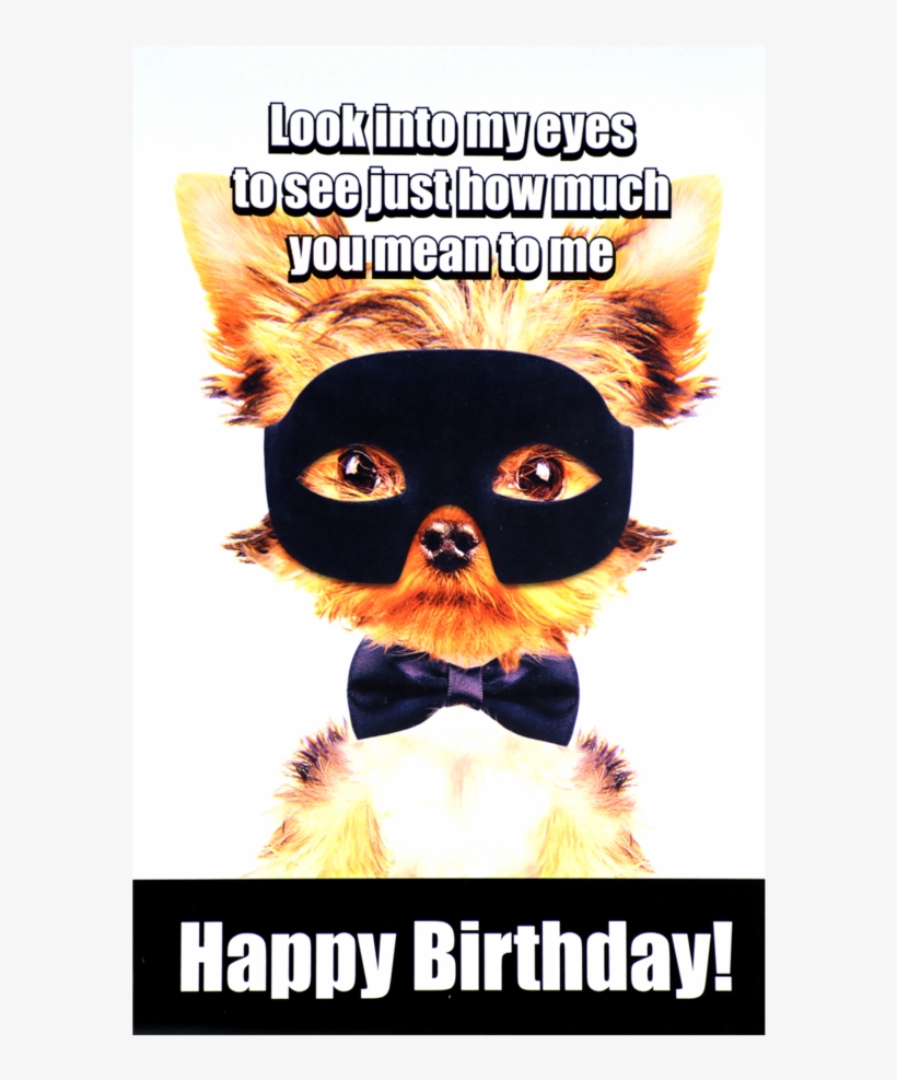 Perritos Super Heroe, transparent png