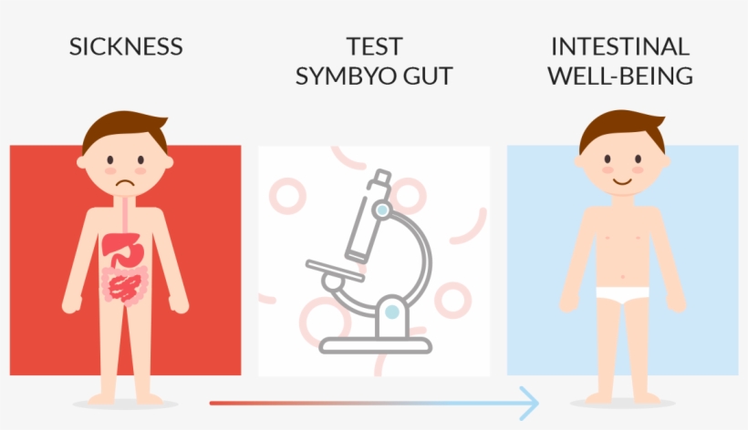 Health-intestinal - Cartoon, transparent png