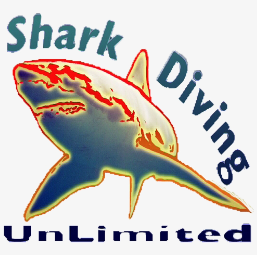 Next - Great White Shark, transparent png