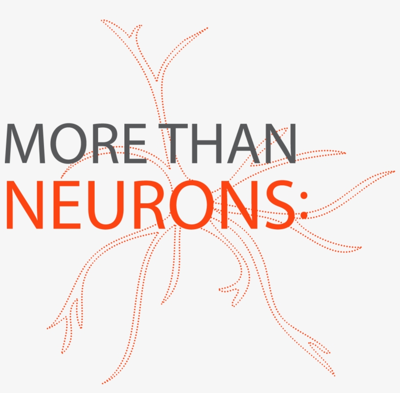 Final Program - - Graphic Design, transparent png