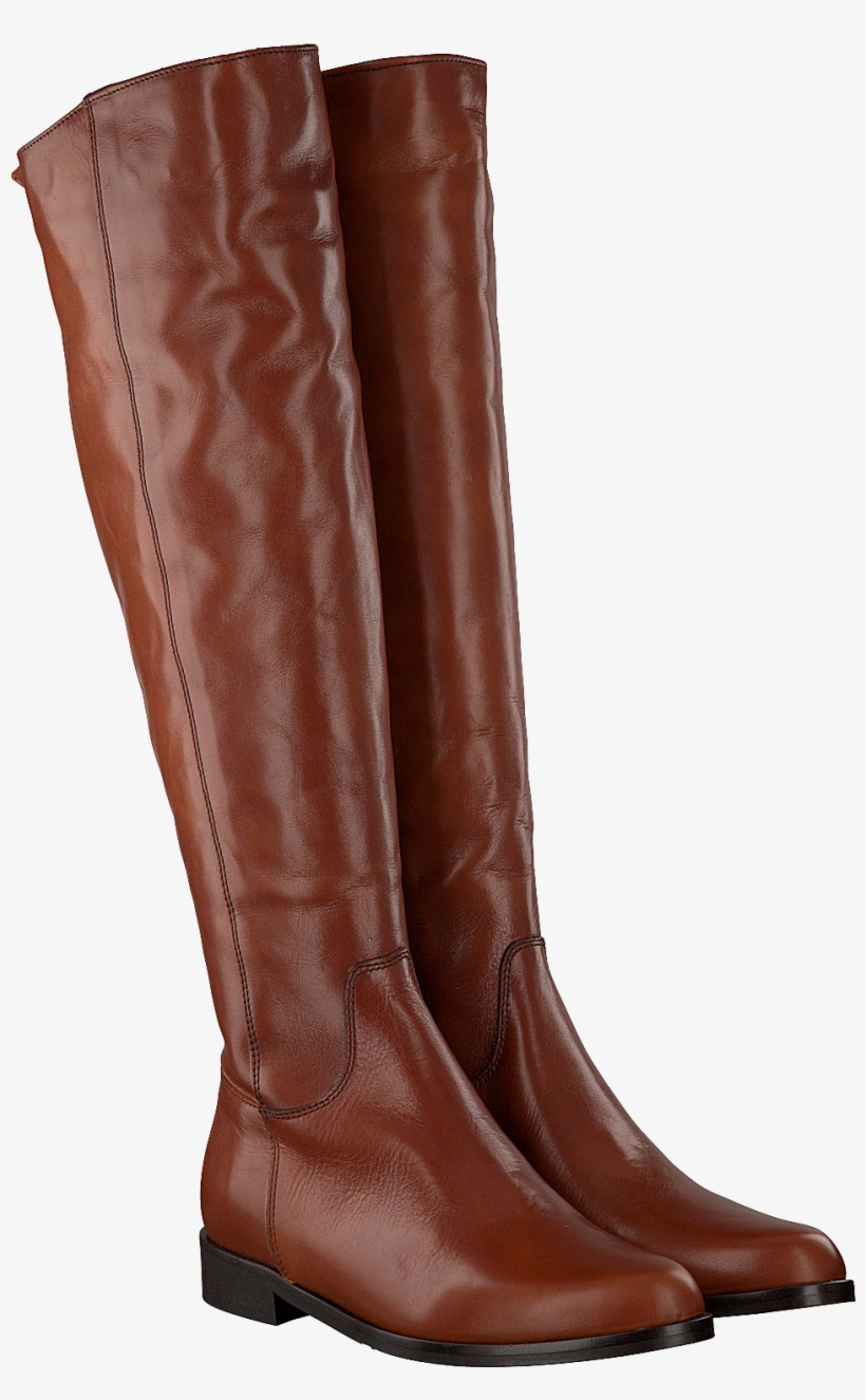 Previous - Lamica Cognac Laarzen, transparent png