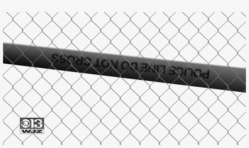 Fanatics Next - Chain-link Fencing, transparent png