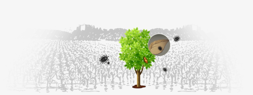 Farms - Illustration, transparent png