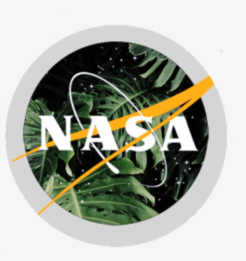 Aesthetic Nasa Logo, transparent png