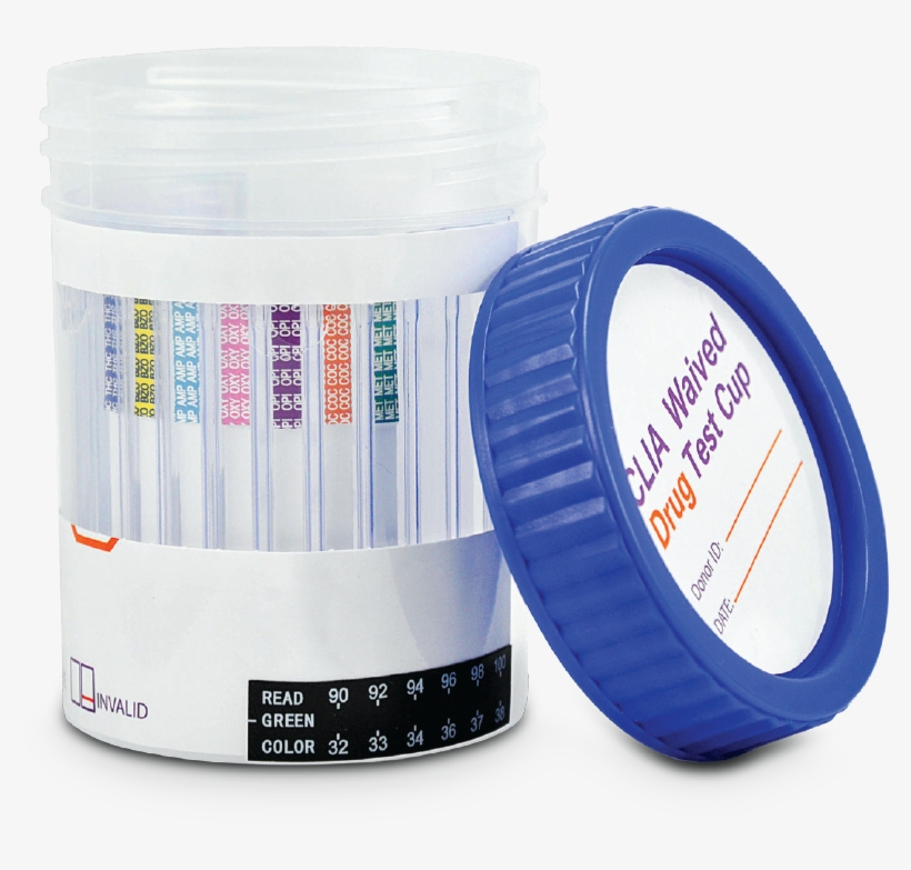 Circle, transparent png