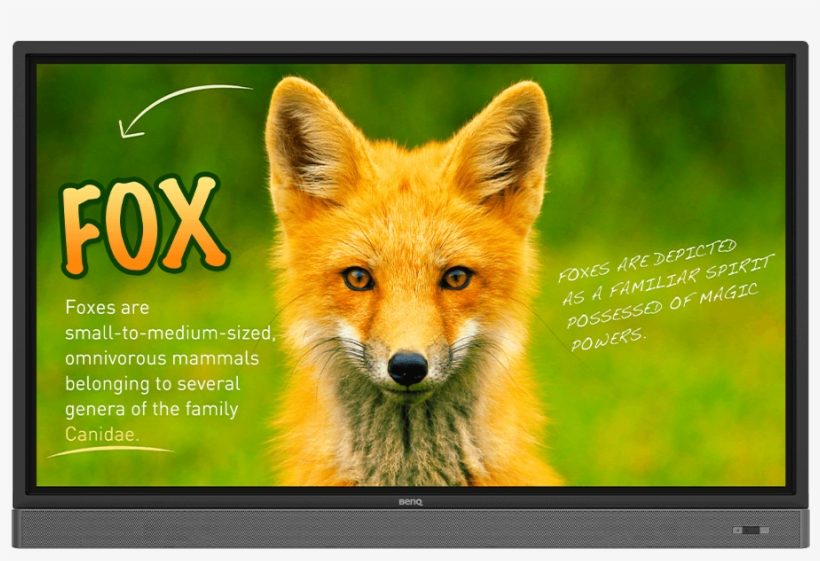 Rp653k 65″ Education Interactive Flat Panel - Benq Rp653k, transparent png