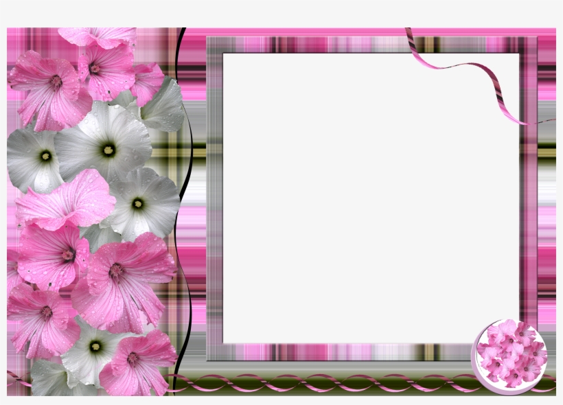 Img - Picture Frame, transparent png