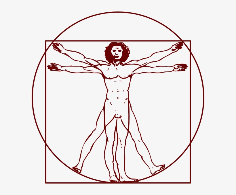 600 X 600 1 - Vitruvian Man Clipart, transparent png
