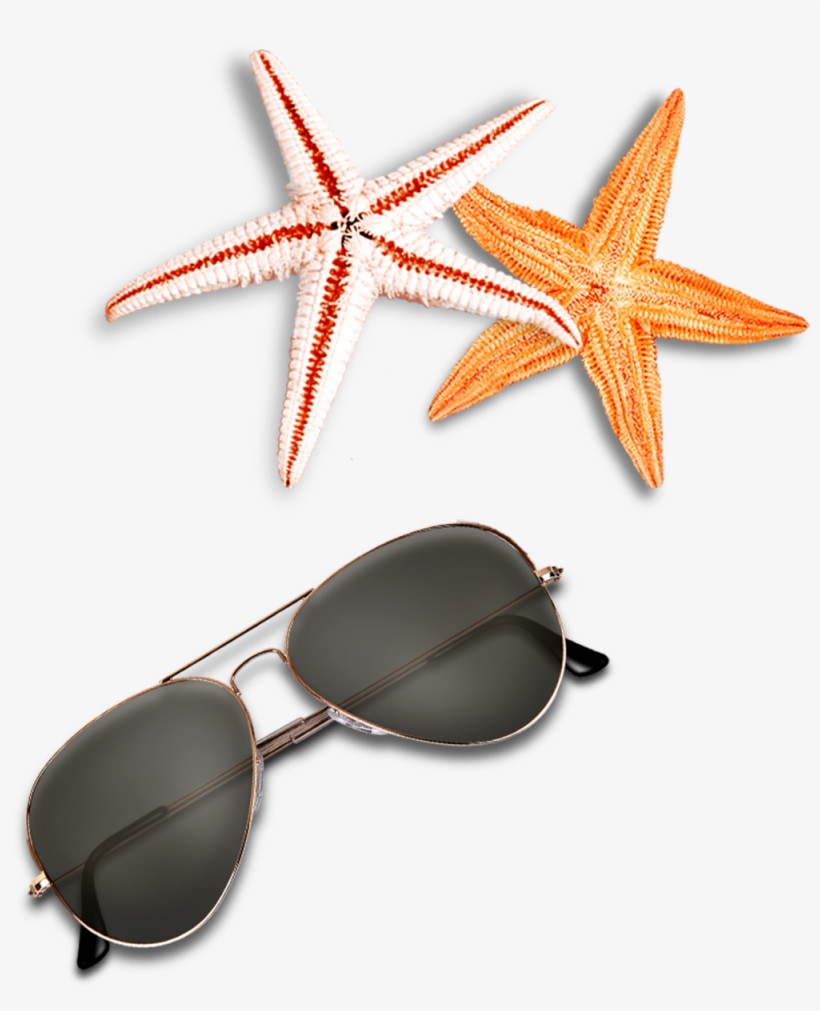 Beach Elements Sunglasses Starfish Free Clipart Hd - Beach Elements Psd Free, transparent png