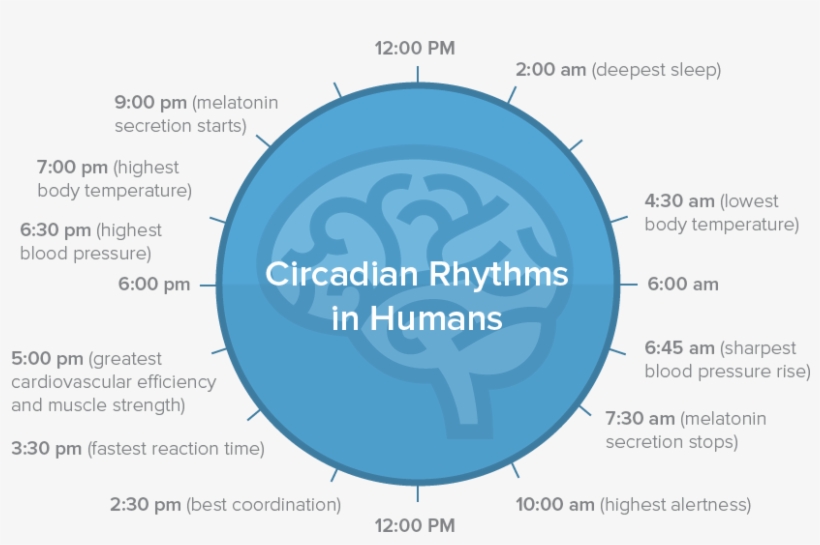 But When We're Staring Into Our Computer Screens, The - Circle, transparent png