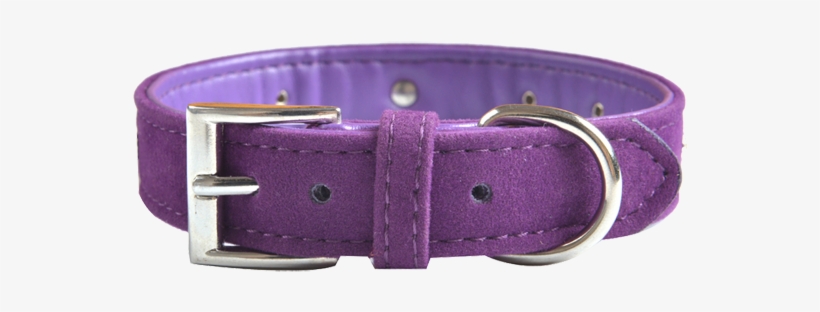 Purple With Diamantes - Buckle, transparent png