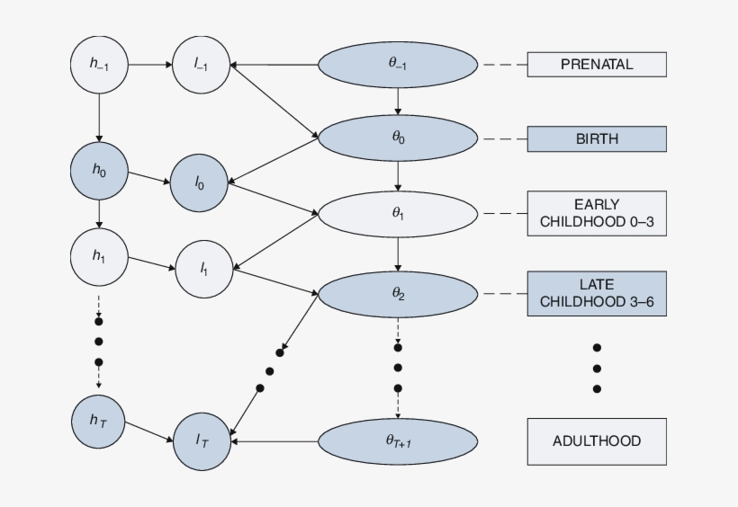 4 A Life Cycle Framework For Conceptualizing Child - Circle, transparent png