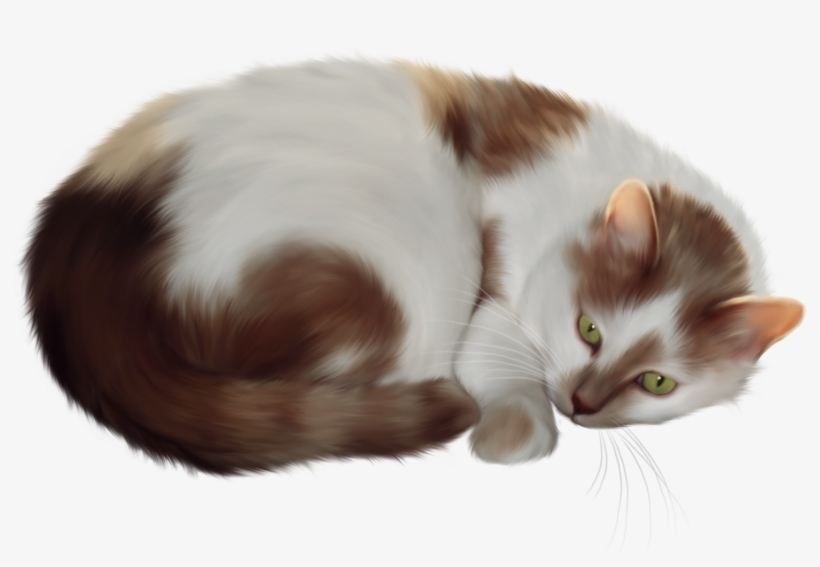 Transparent Cat Clipart - Transparent Background Cat Clipart, transparent png