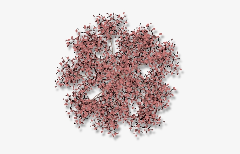 06 Feb 2009 - Gravel, transparent png