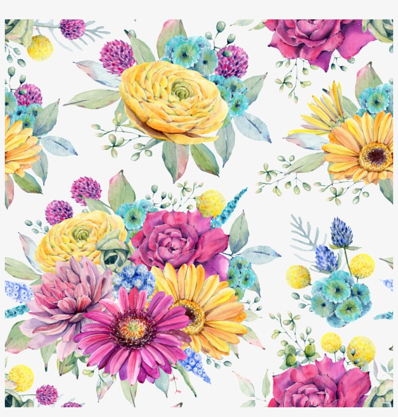 This Backgrounds Is Hand Painted Colored Chrysanthemum - African Daisy, transparent png