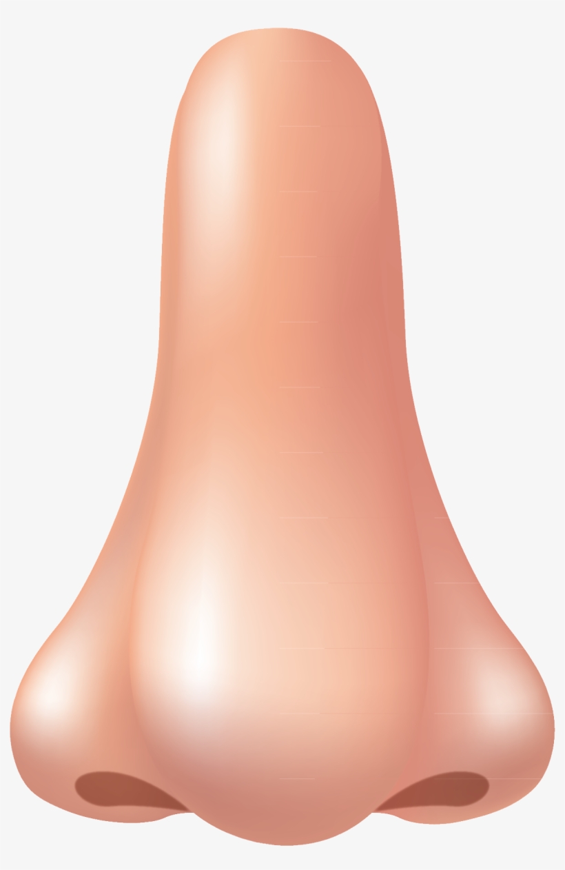 Nose Png, transparent png