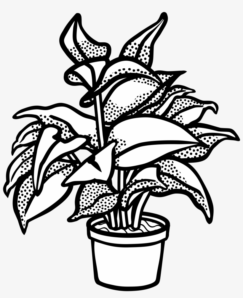 Watercolor Potted Plants Clipart, Potted Plants, Cactus, - Clip Art Black And White Plant, transparent png