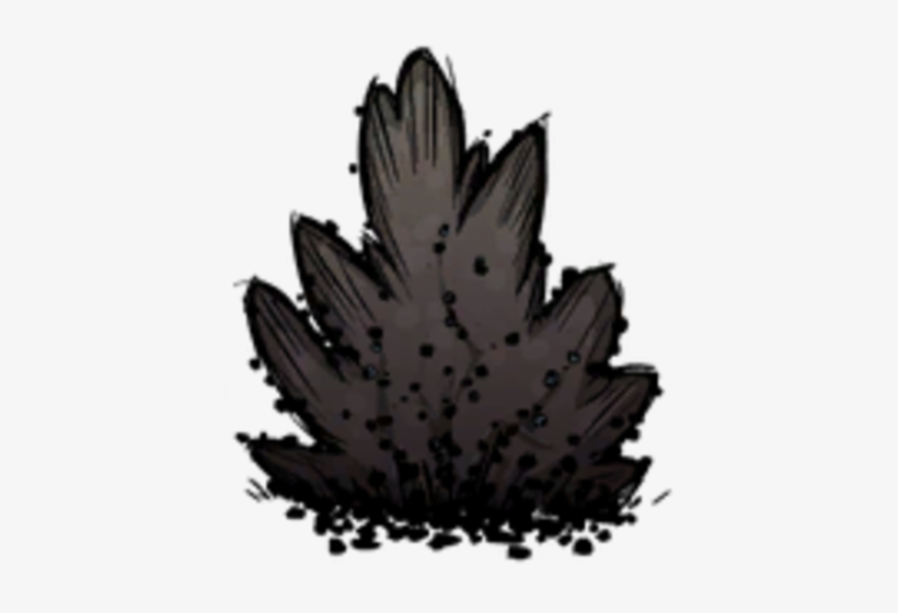 Diseased Berry Bush - Disease, transparent png