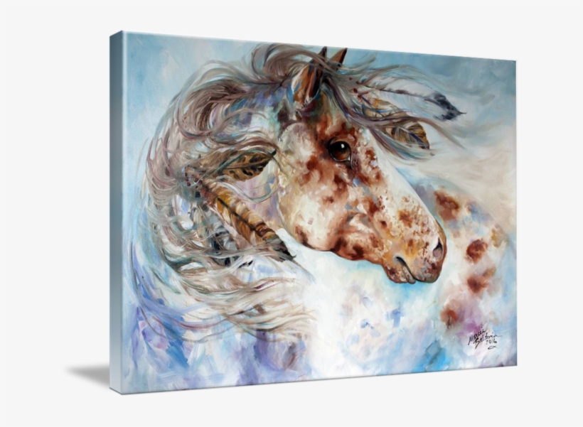 "thunder Appaloosa Indian War Horse" By Marcia Baldwin - Gallery-wrapped Canvas Art Print 10 X 7 Entitled Thunder, transparent png