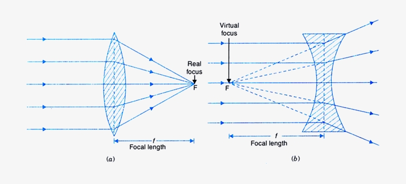 A Concave Lens Diverges The Light Rays Of A Parallel - Portable Network Graphics, transparent png