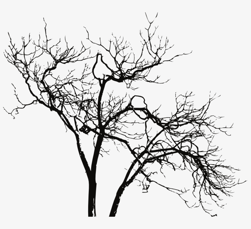 Tree Branches Png, transparent png