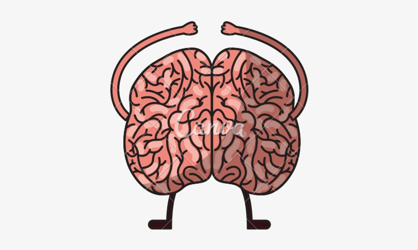 Clip Art Stock Png Free Download Best On Clipartmag - Human Brain, transparent png