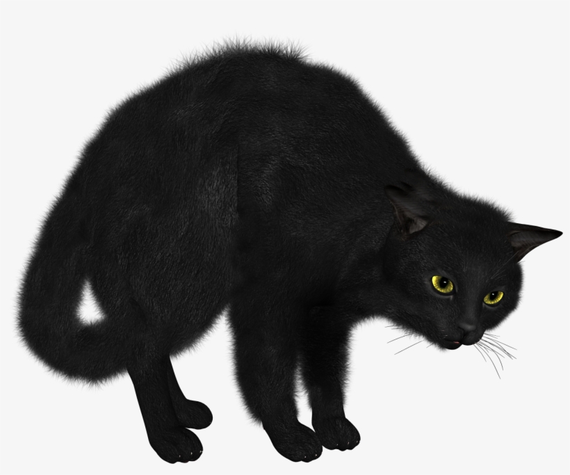 Black Cat Transparent Png, transparent png