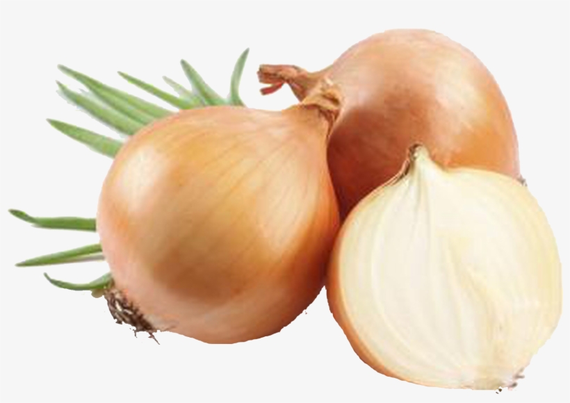 Z Natural Foods Onion Powder - Organic 5 Lbs, transparent png