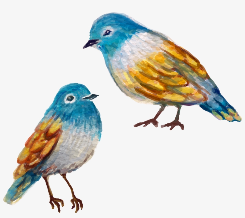 Finch Painting Birds Transprent - Bird Painted Transparent, transparent png