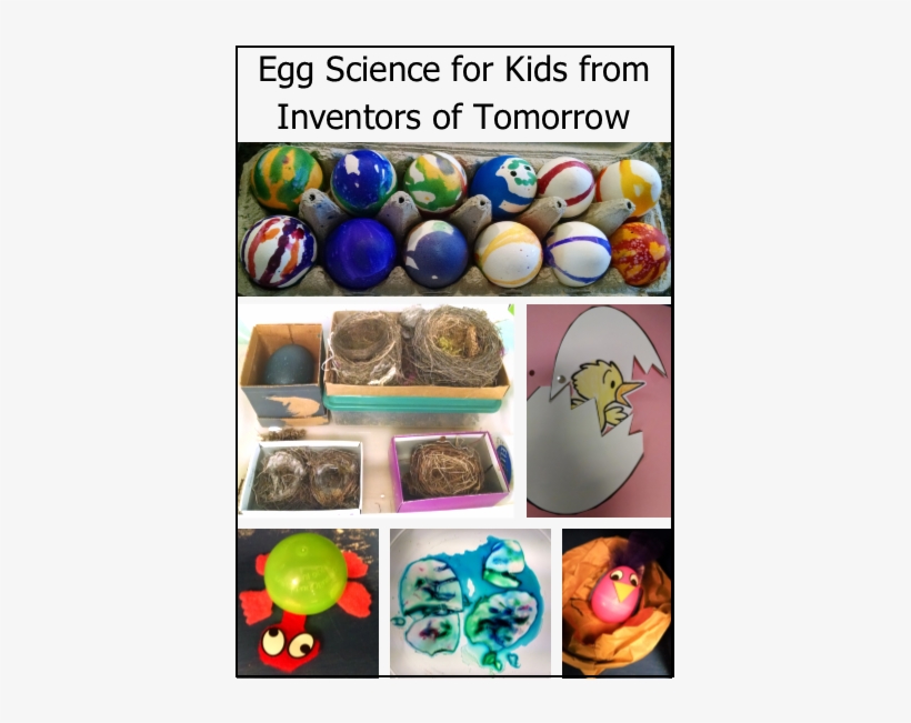 On This Saturday In Spring, Our Class Theme Was Eggs - Hands-on Stem (paperback Set Of 8), transparent png