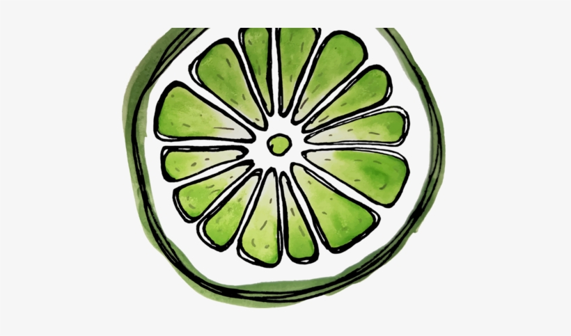 Watercolor Fruit Slices Fabric By Areckewey On Spoonflower - Circle, transparent png