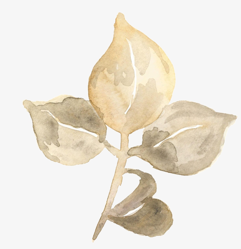 Hand Painted Three Pieces Of Blooming Leaves Transparent - Design, transparent png