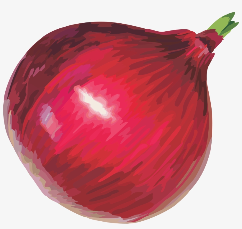 Red Onion Clipart, transparent png