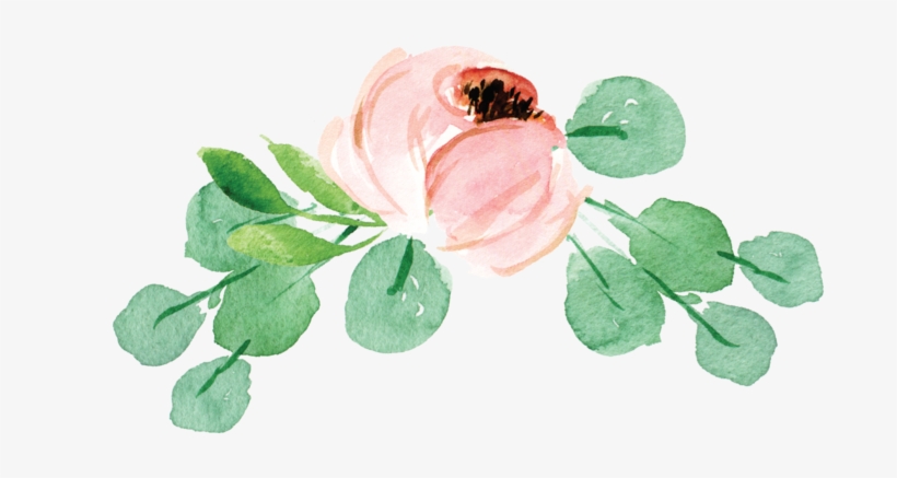 Floral Graphic, transparent png