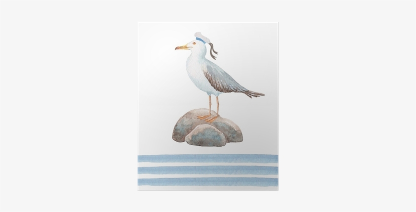 A Set Of Watercolor Drawings In A Sea-style Gull On - Watercolor Painting, transparent png